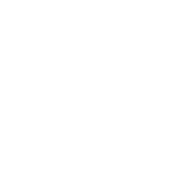 NETSCH